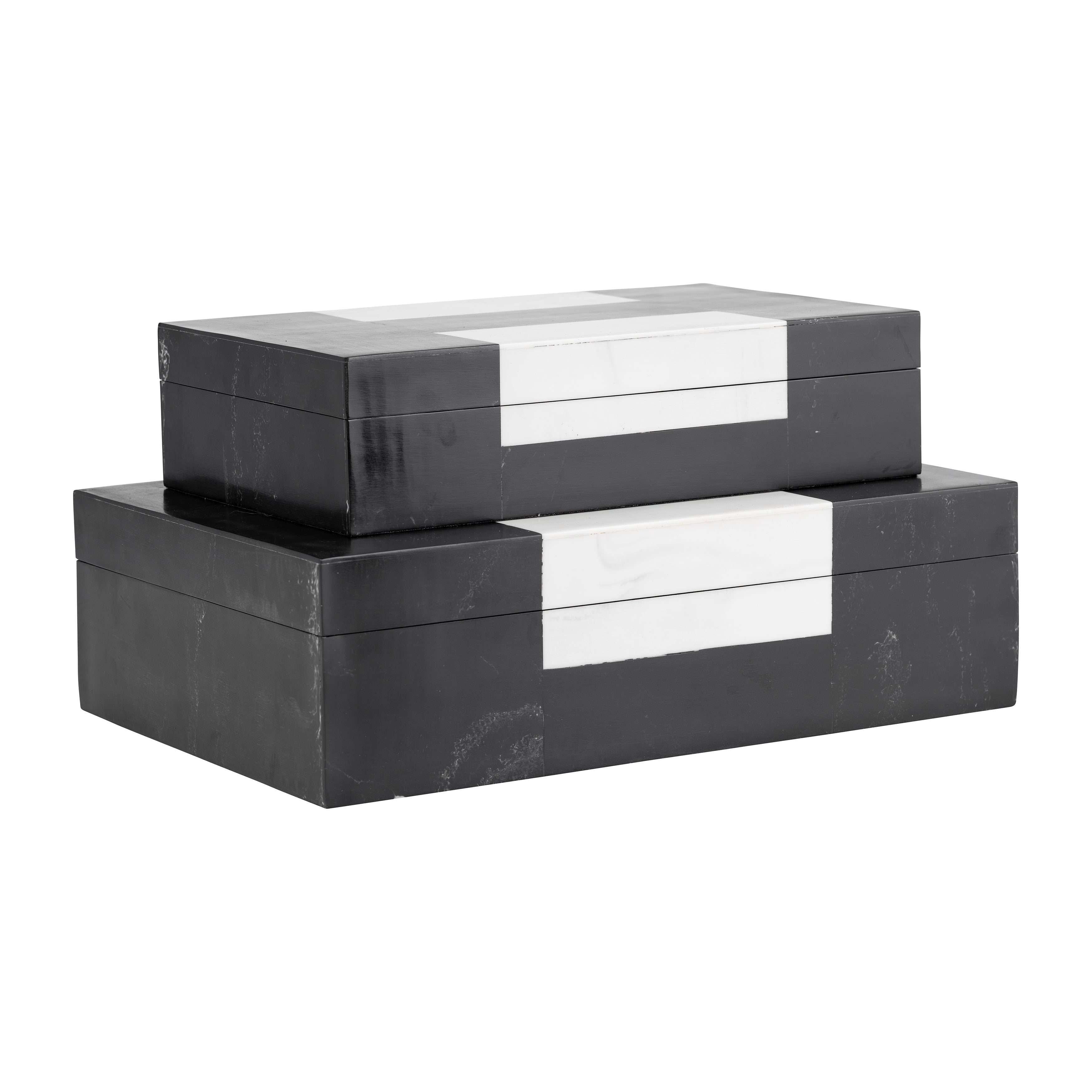 Contrast Chronicles: Pair of Resin Boxes, 10/12" H, in Monochromatic Magic