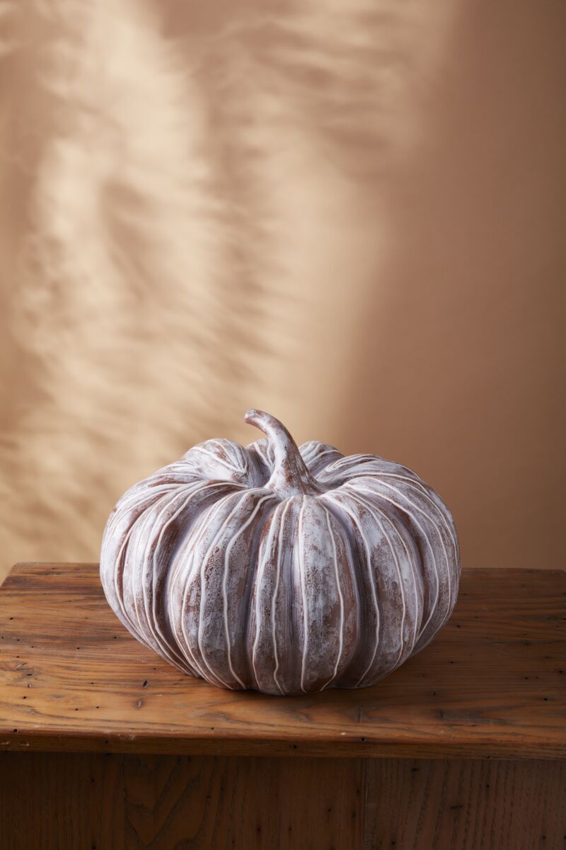 Bounty Collection Pumpkin